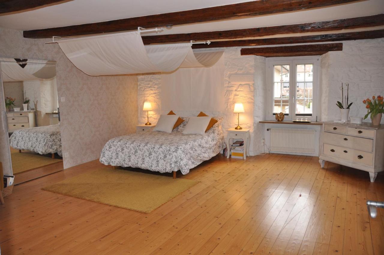 Maison De Charme "Le Moulin D'Hagenthal" - Chambre Baroque Apartment Luaran gambar